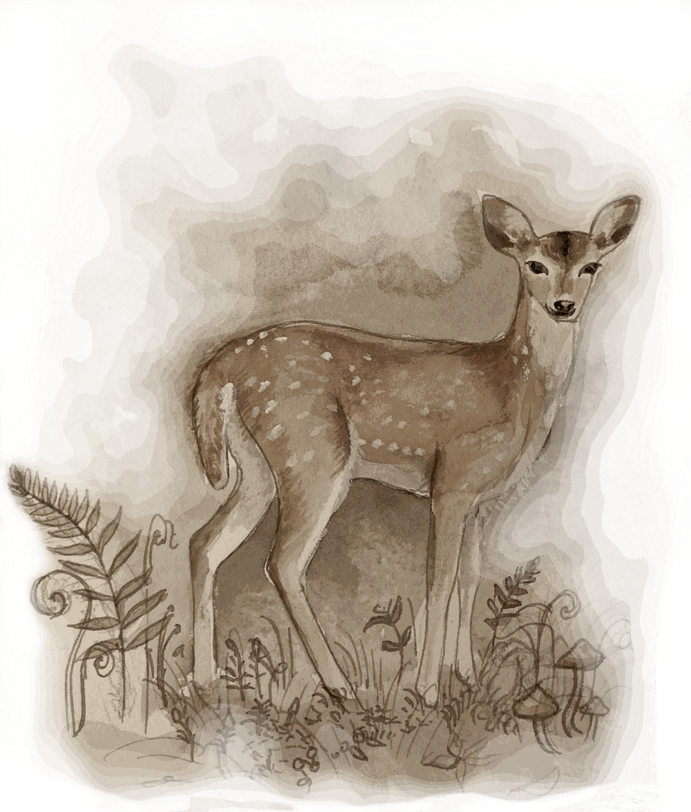 Illustration eines Rehs in der Landschaft