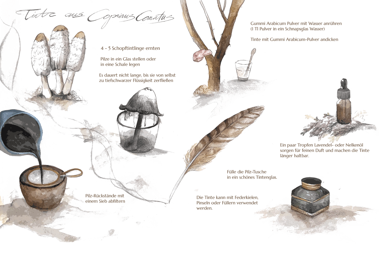 Schopftintling Illustration mit Text